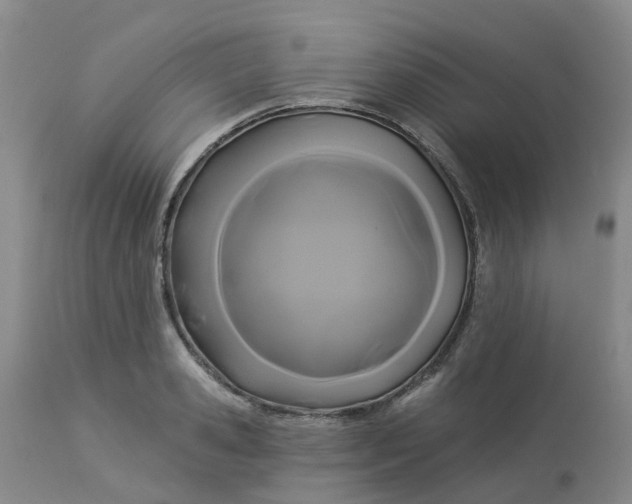 X0000113080941200909111000