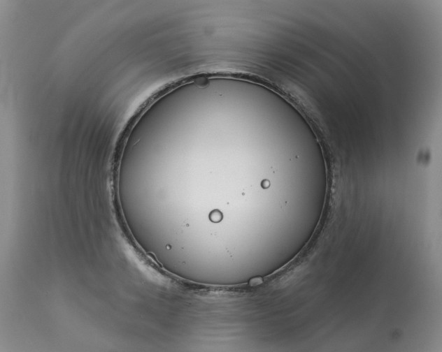 X0000113080942200909111000