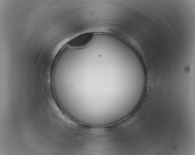 X0000113080944200909111000