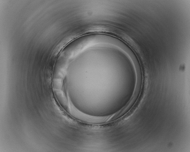 X0000113080945200909111000