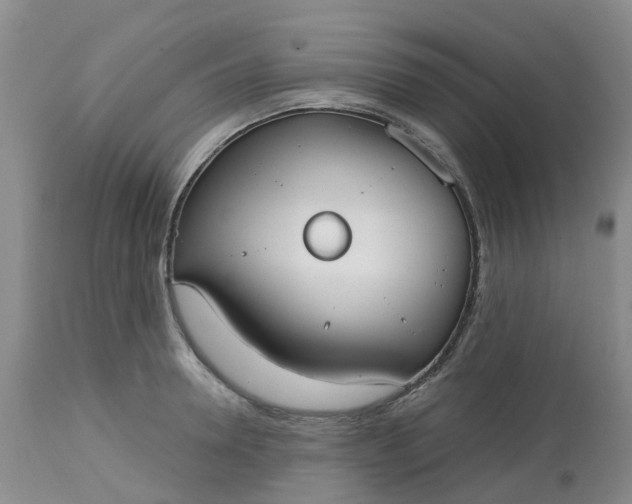 X0000113080946200909111000