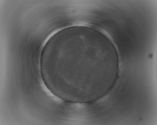 X0000113080947200909111000