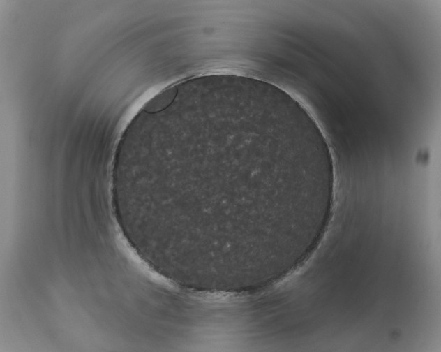 X0000113080949200909111000