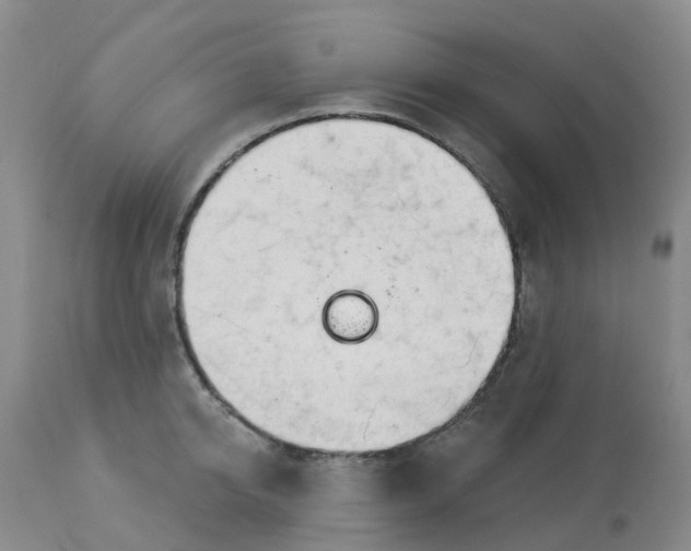 X0000113080950200909111000