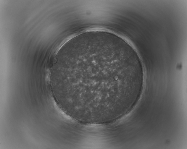 X0000113080953200909111000