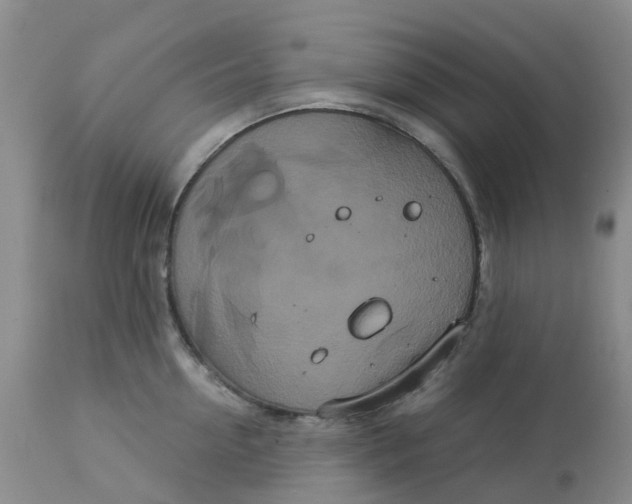 X0000113080954200909111000