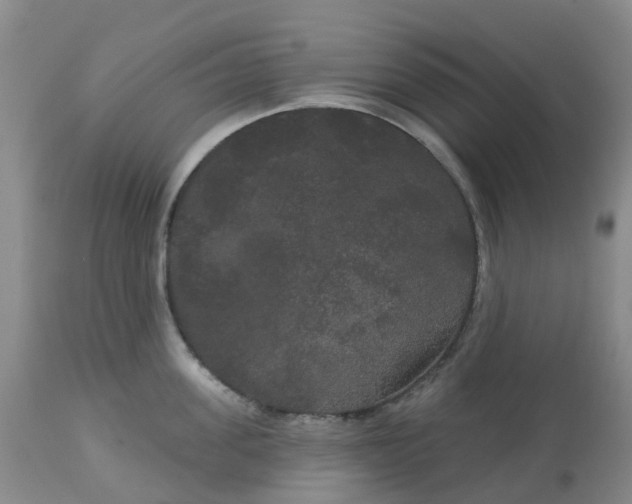 X0000113080955200909111000