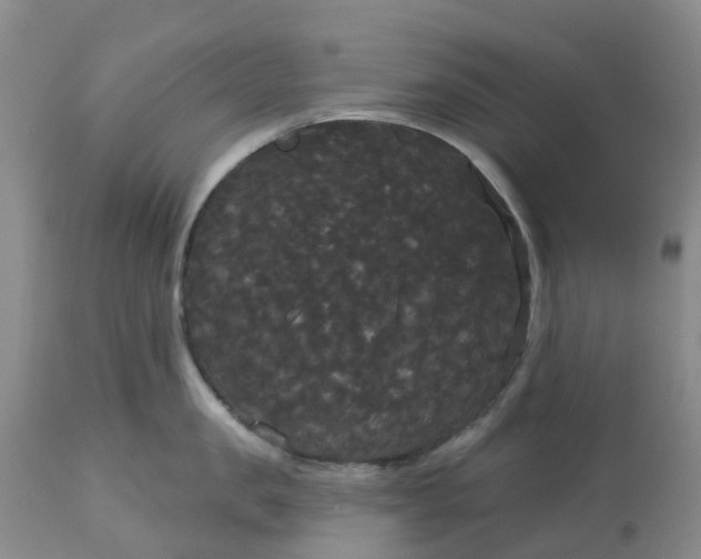 X0000113080957200909111000