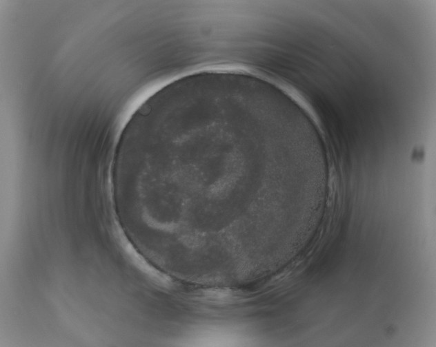 X0000113080959200909111000