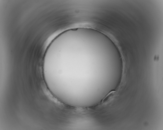 X0000113080960200909111000