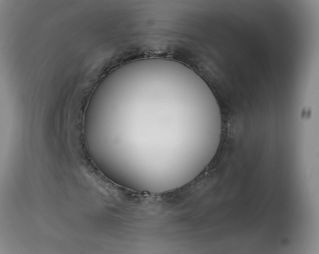 X0000113080961200909111000