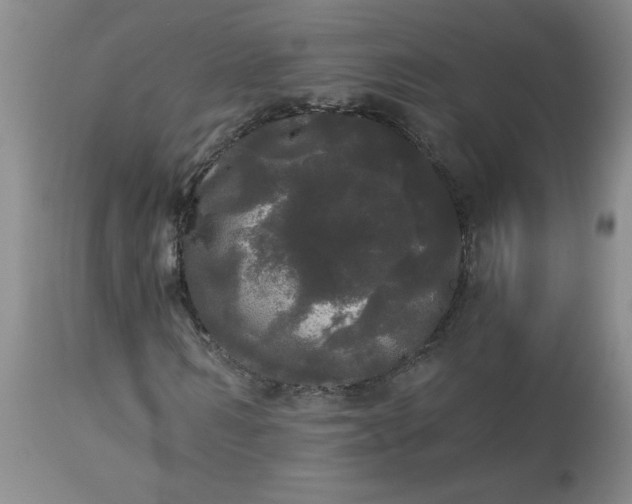 X0000113080962200909111000