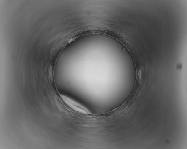 X0000113080963200909111000