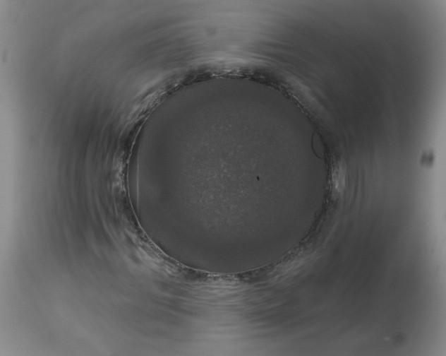 X0000113080964200909111000