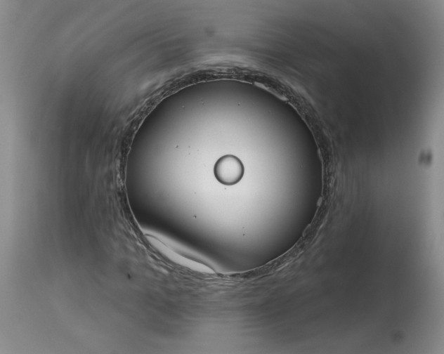 X0000113080965200909111000