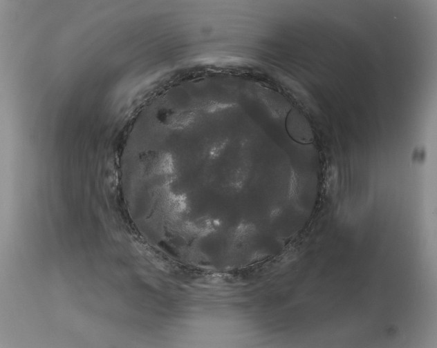 X0000113080966200909111000