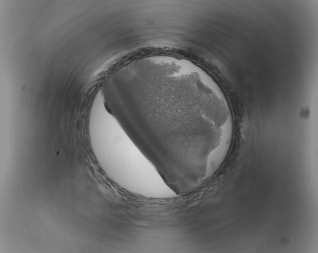 X0000113080968200909110959