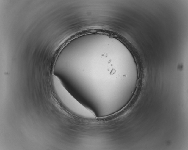 X0000113080969200909110959