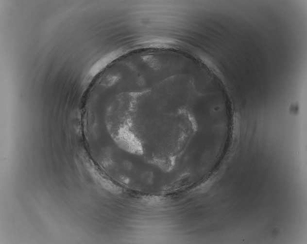 X0000113080970200909110959