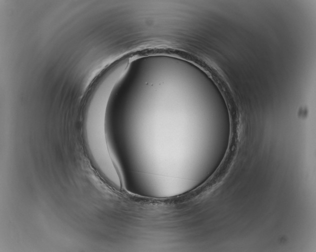 X0000113080973200909110959