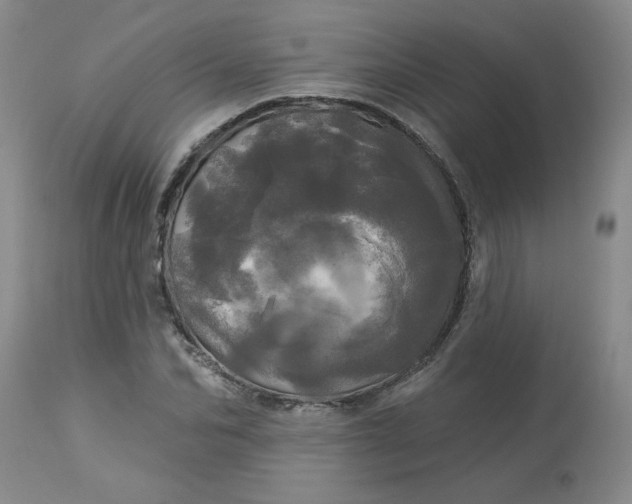 X0000113080974200909110959