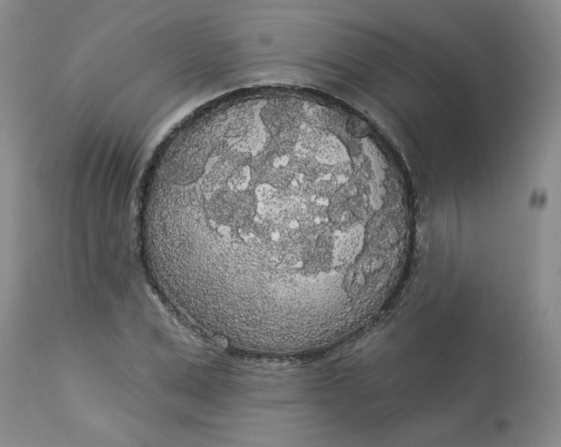 X0000113080975200909110959