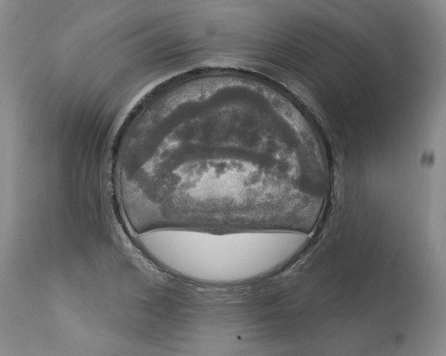 X0000113080976200909110959