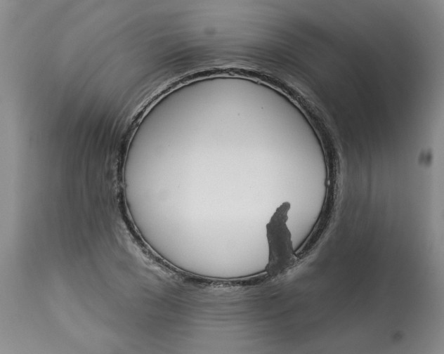 X0000113080977200909110959