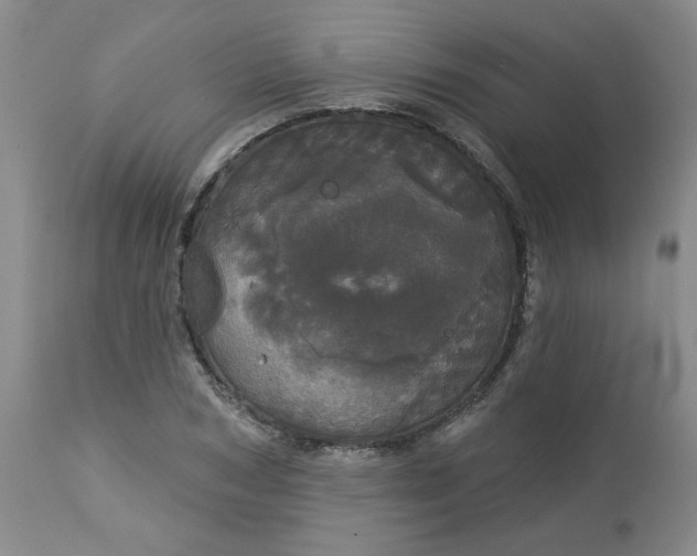 X0000113080978200909110959