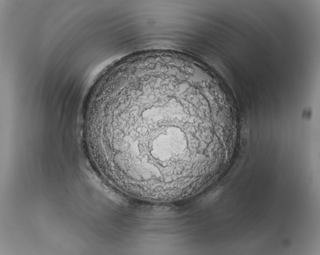 X0000113080979200909110959