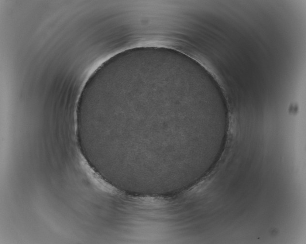 X0000113080980200909110959