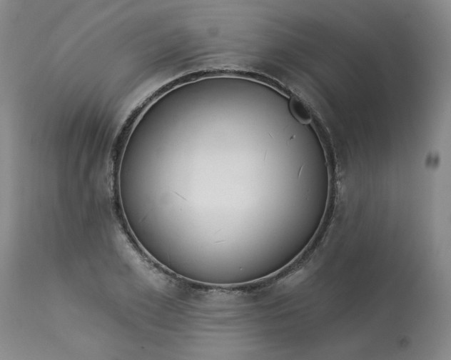 X0000113080981200909110959