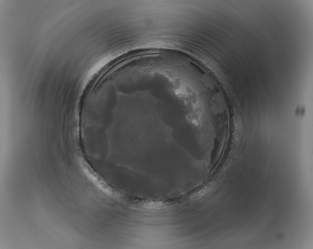 X0000113080982200909110959