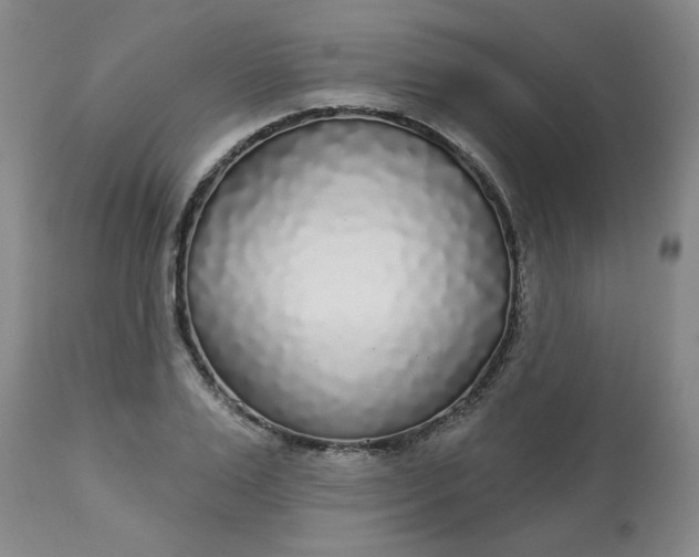 X0000113080983200909110959