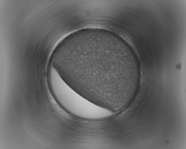 X0000113080984200909110959