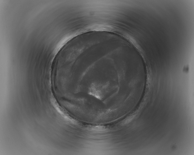 X0000113080986200909110959