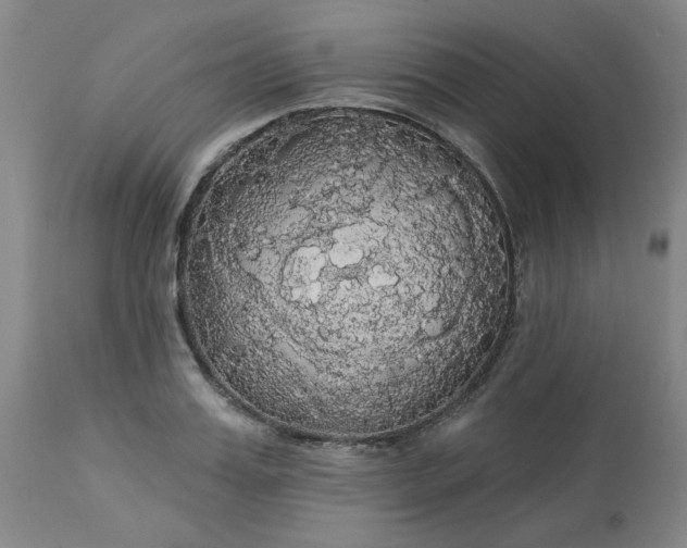 X0000113080987200909110959