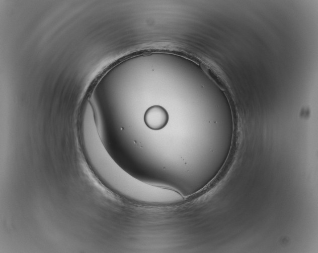 X0000113080989200909110959