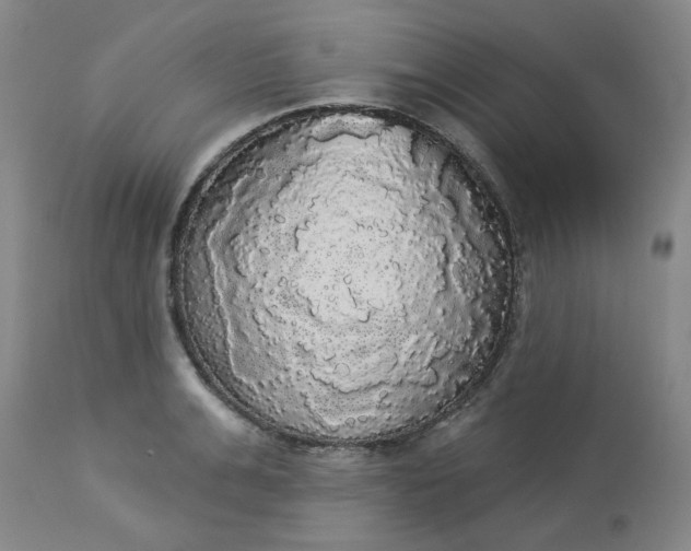 X0000113080991200909110959