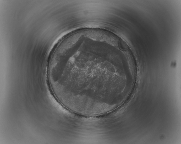 X0000113080992200909110959