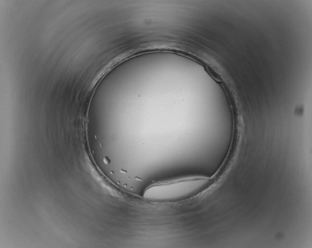 X0000113080993200909110959