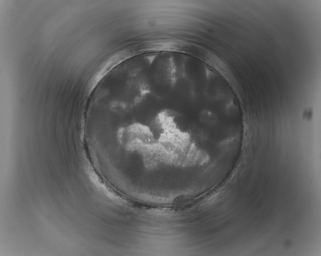 X0000113080994200909110959