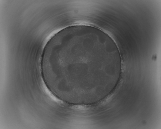 X0000113080995200909110959