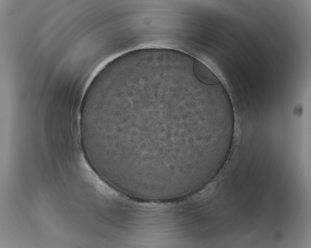 X0000113080996200909110959