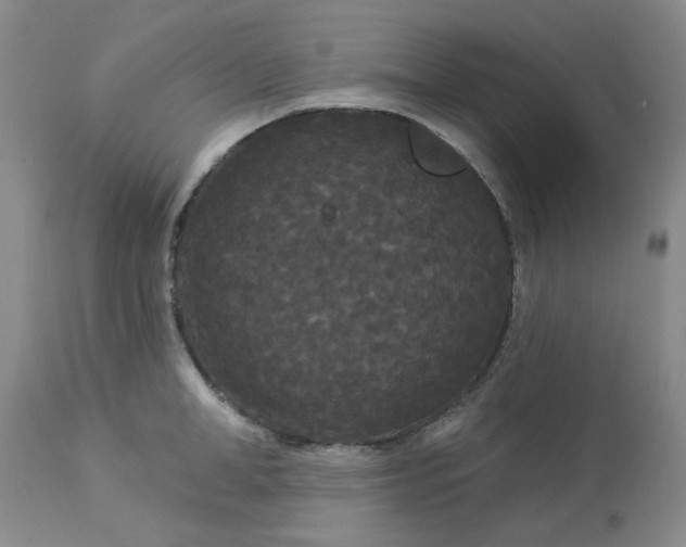 X0000113080998200909110959