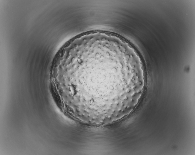 X0000113080999200909110959