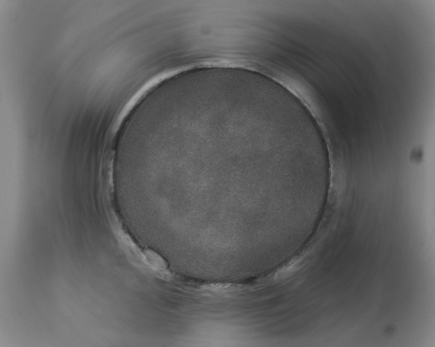 X0000113081000200909110959