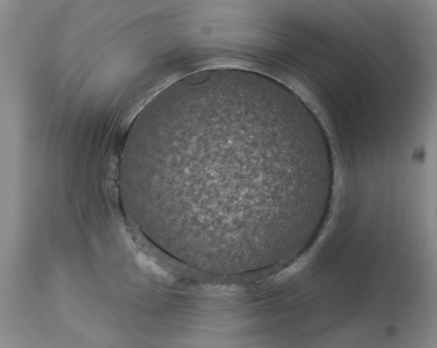 X0000113081001200909110959