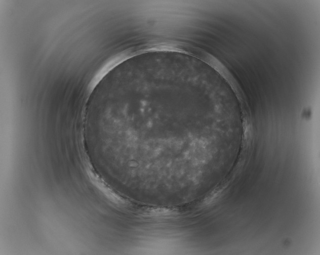 X0000113081002200909110959