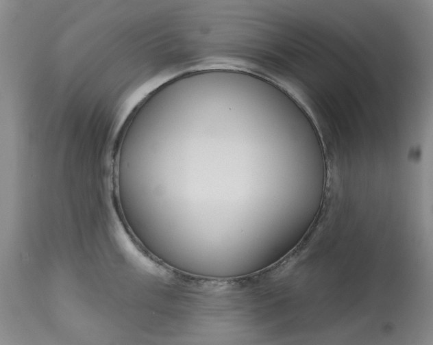 X0000113081003200909110959